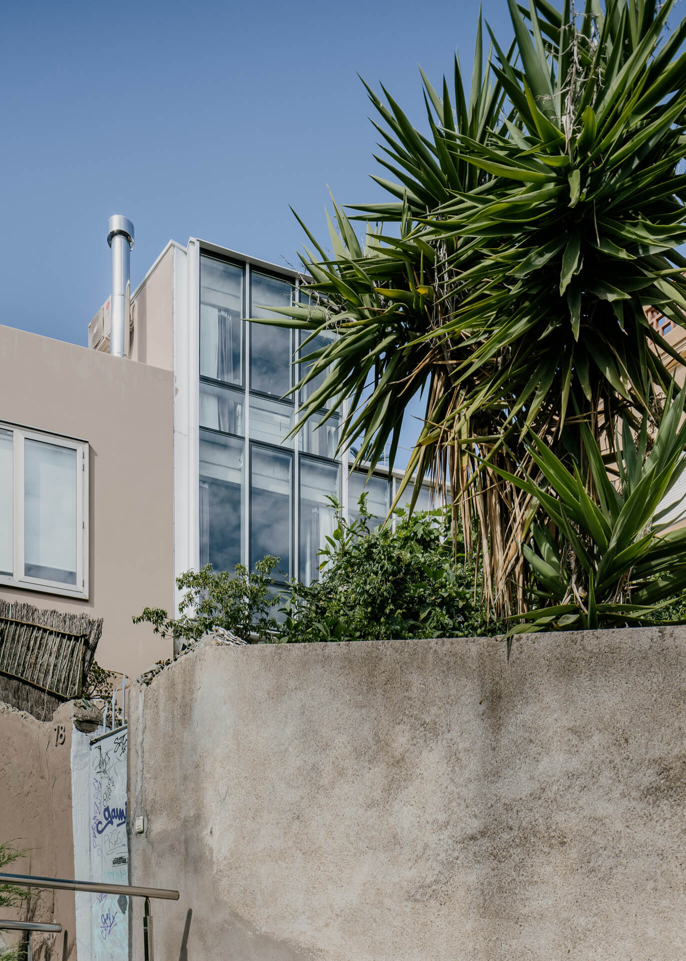 Modern residential facade rising behind a concrete wall and tall leafy plants.