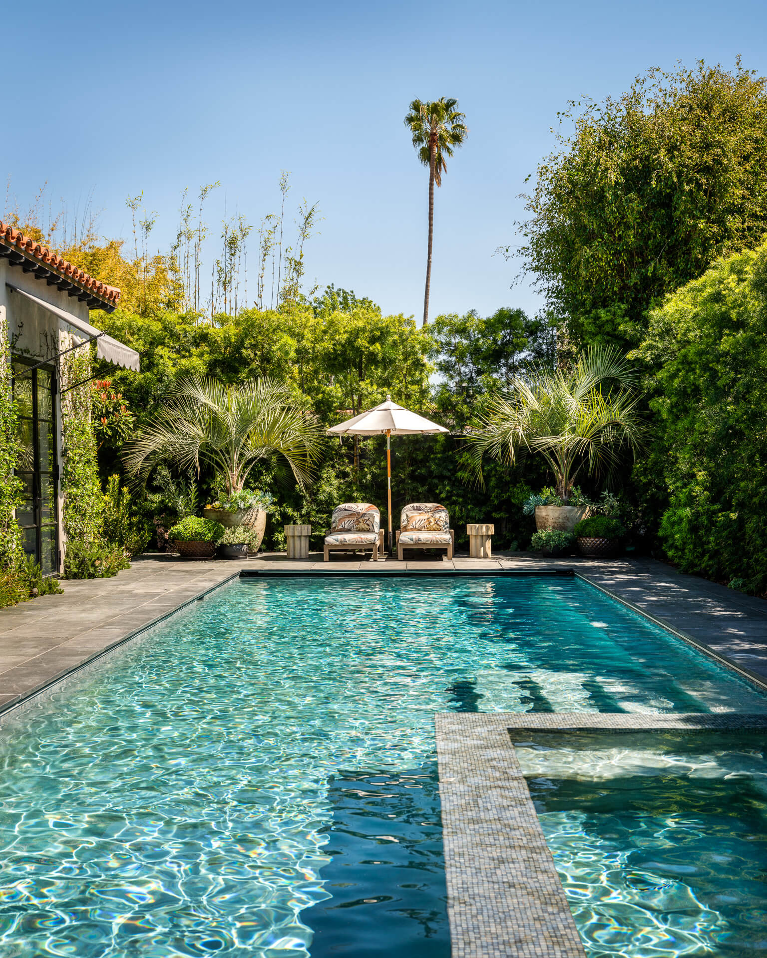 Backyard swimming pool surrounded by lush landscaping and mature palm trees