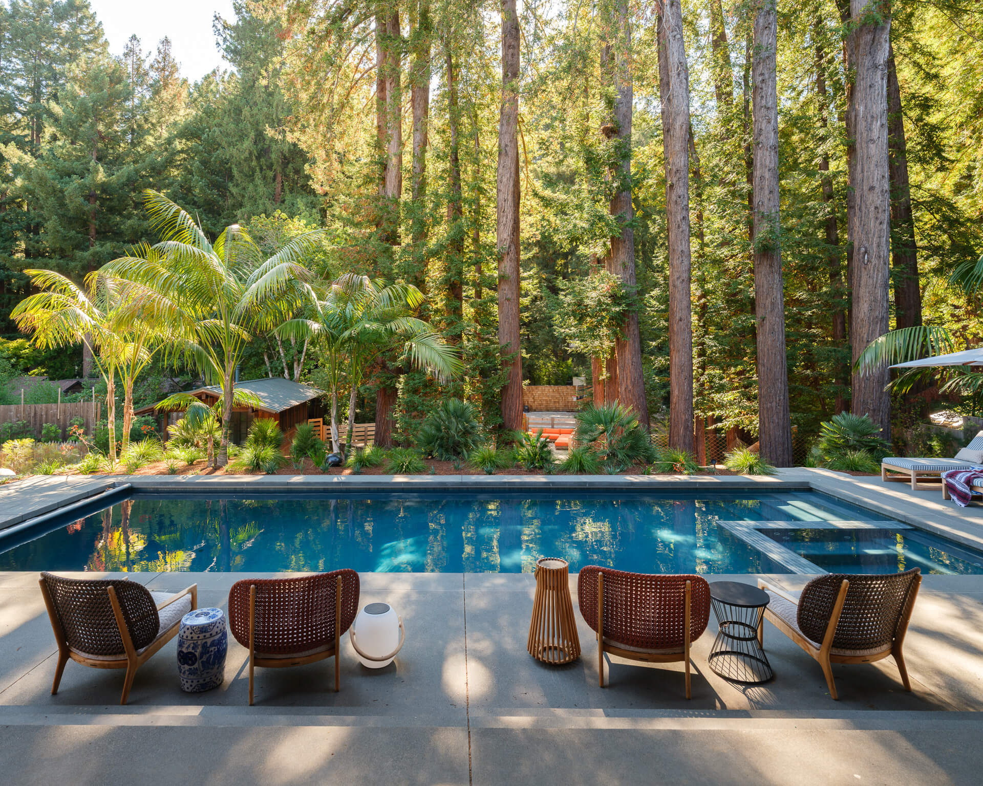 Swimming pool surrounded by lounge seating, palms, and tall redwood trees.
