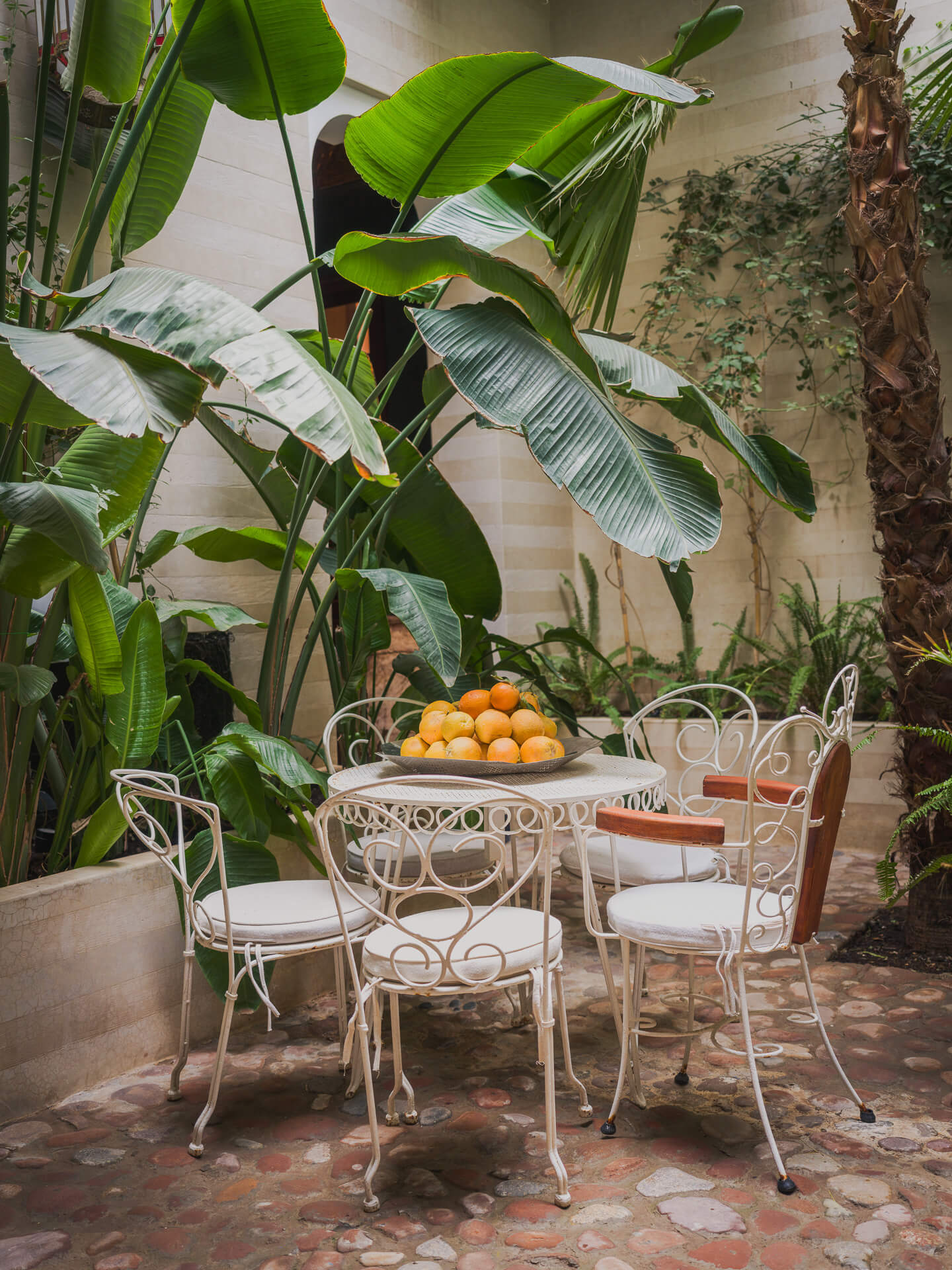 Shaded courtyard dining area surrounded by tropical plants, with a white metal table and chairs.