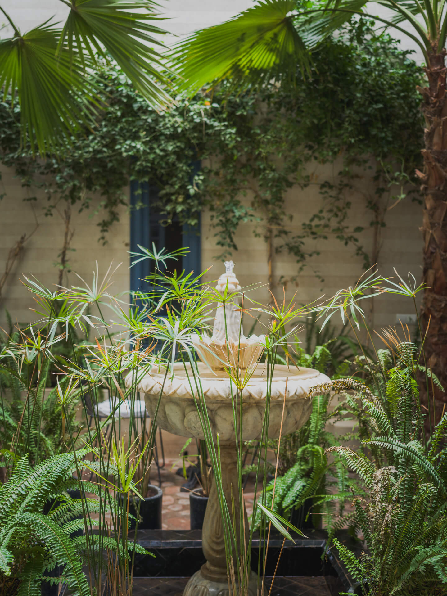 Lush courtyard garden with palms, ferns, and a stone pedestal table.