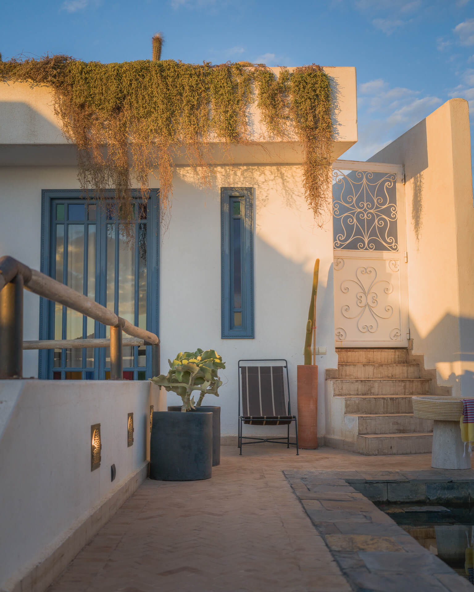 White rooftop terrace with blue doors, trailing greenery, and a small staircase.